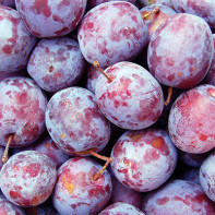 Photo of plums