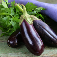 Photo of eggplants 4