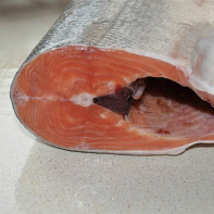 Photo d'un saumon kéta 3