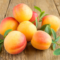 Photo of apricots 5