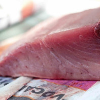 Photo of tuna 4
