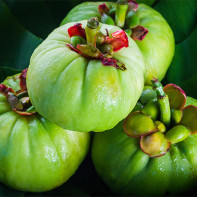 ガルシニアの果実の写真