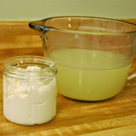 Photo de la poudre de lactosérum