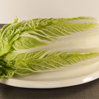 Chinese cabbage photos 2