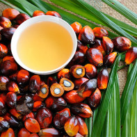 Fotografie palmového oleje 2