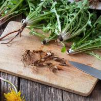 Picture of dandelion root