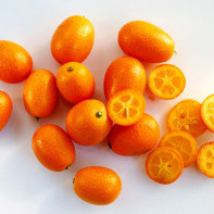 Photo du kumquat 5