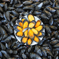 Photo of mussels 4