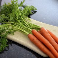 Photo fanes de carottes 5