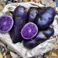 Pommes de terre violettes photo 2