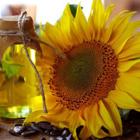 Photo of sunflower oil 2
