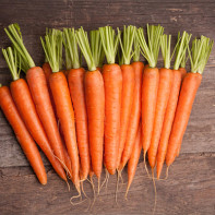 Photo of Carrots 5