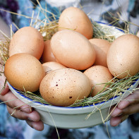 Photo d'œufs de poule 3