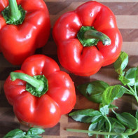 Photo of sweet peppers
