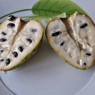 チェリモヤの果実の写真