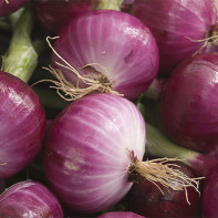Photo of a Red Onion 3