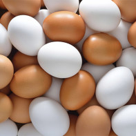 Photo d'œufs de poule