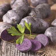 Pommes de terre violettes 4