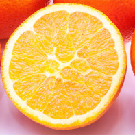 オレンジの写真 2
