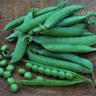 エンドウ豆の健康・福祉