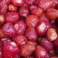Photo de fraises 2