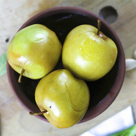 Photo des pommes d'urine 4