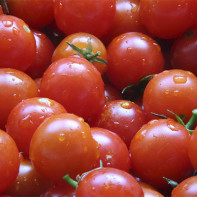 Fotografia cherry paradajok