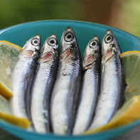 Photo of anchovies