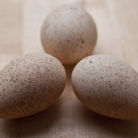 Photo d'œufs de pintade