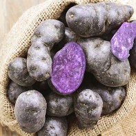 Photo de pommes de terre violettes 5