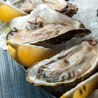 Photo of oysters 3