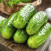 Picture of cucumbers 6