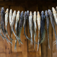 Fotografie sušených a sušených ryb 4