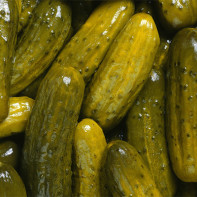 Foto af pickles 2