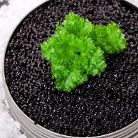 Photo of black caviar 4