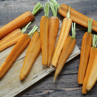 Photo des carottes 6