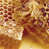 Photo du miel en nid d'abeille 3