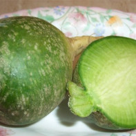 Photo of green radish 4