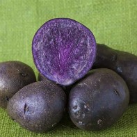 Purple potatoes photo 3