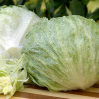 Photo of iceberg salad 3