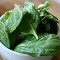 Photo of Spinach 2