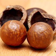 Fotografie makadamového ořechu