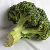 Fotografie brokolice