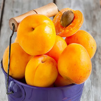 Photo of apricots 4
