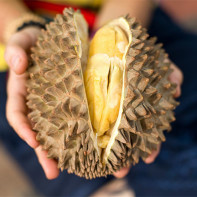 Durian foto 5