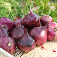 Photo of a blue onion 3