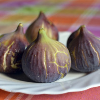 Photo of figs 5