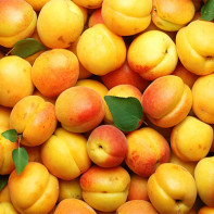 Photo of apricots 3