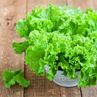 Photo de la salade de feuilles de laitue 3