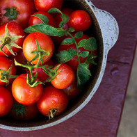 Photo of Tomato 5